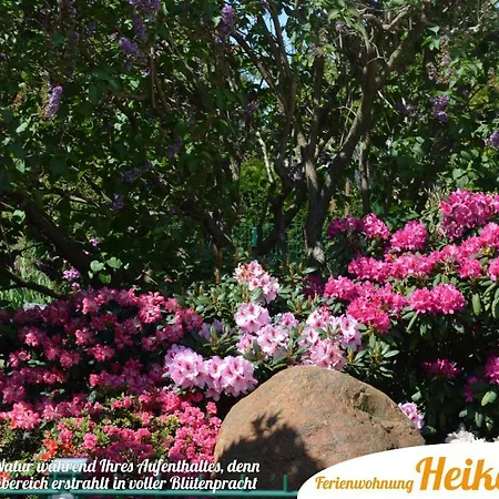 Apartment Ferienwohnung Heike *